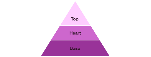 Top, Middle (heart) and Base note pyramid