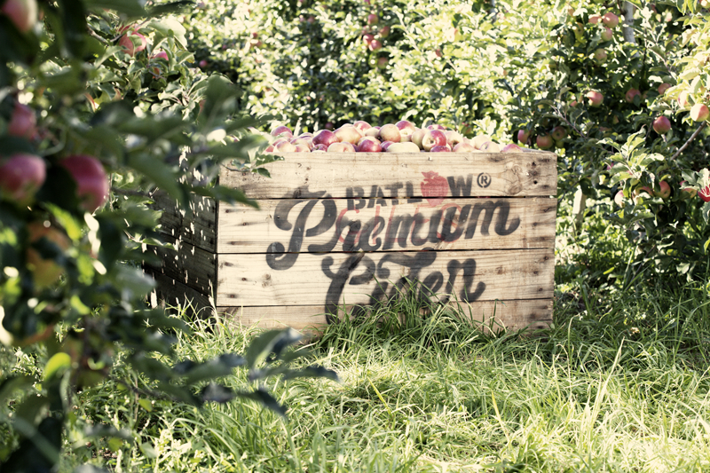 BATLOW CIDER – YOUR SUMMER STAPLE