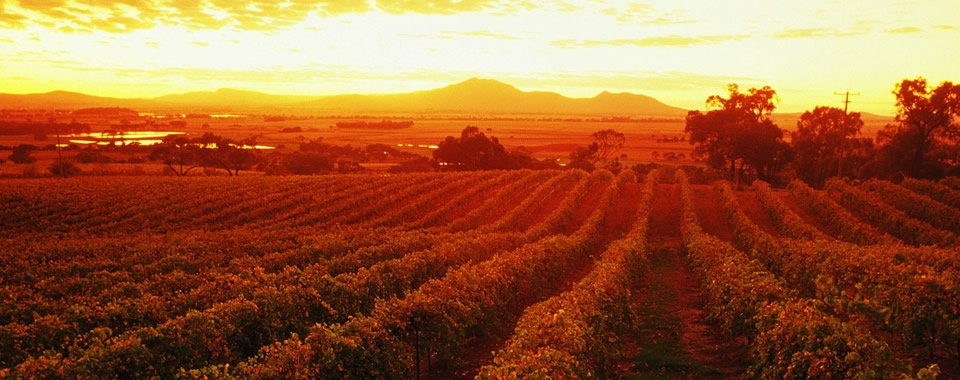 YOUR NEXT WINERY GETAWAY IN VICTORIA