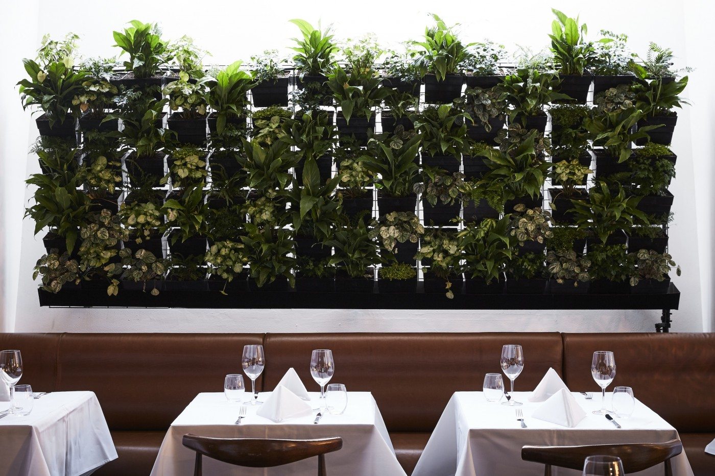PHILIPPE MOUCHEL RETURNS TO THE CULINARY SCENE WITH PHILIPPE