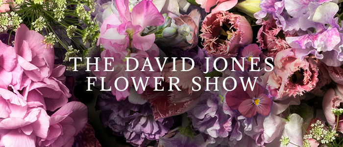 DAVID JONES 2016 FLOWER SHOW