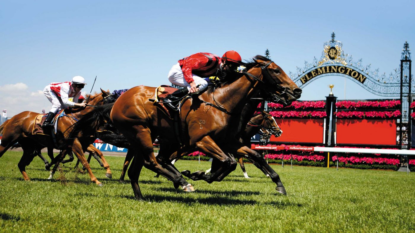 OWN A THOUROUGHBRED RACEHORSE FROM $165 WITH MIRUNNERS