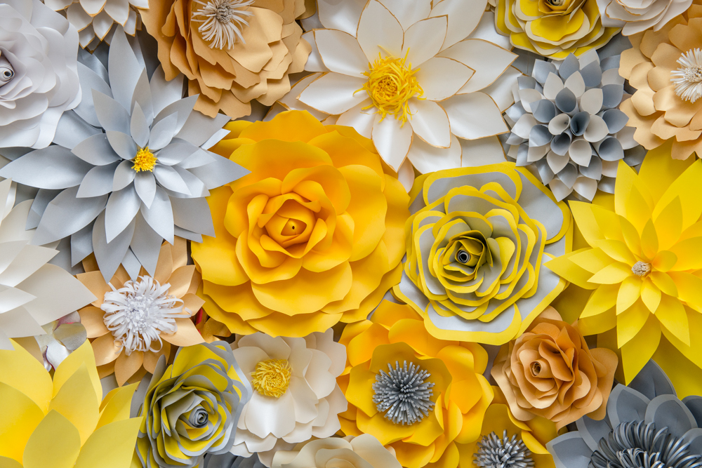 SHINE BRIGHT IN RICHMOND WITH THE NEW SHINE SKIN & BODY SALON, EXPERTS IN EXTRACTIONS