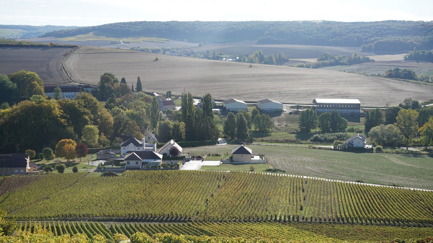 WHAT WINERIES TO VISIT IN THE CHAMPAGNE REGION