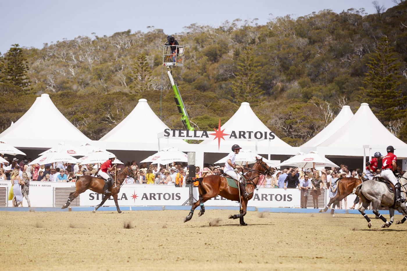 ALL THE GLAMOUR FROM THE ALFA ROMEO PORTSEA POLO