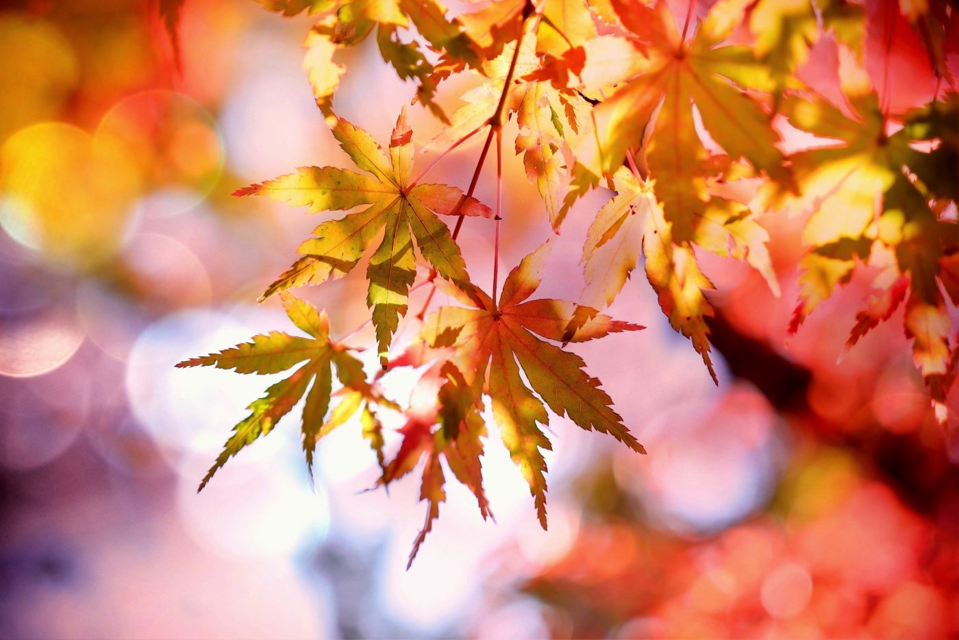AUTUMNAL SKINCARE – WHAT YOU NEED RIGHT NOW