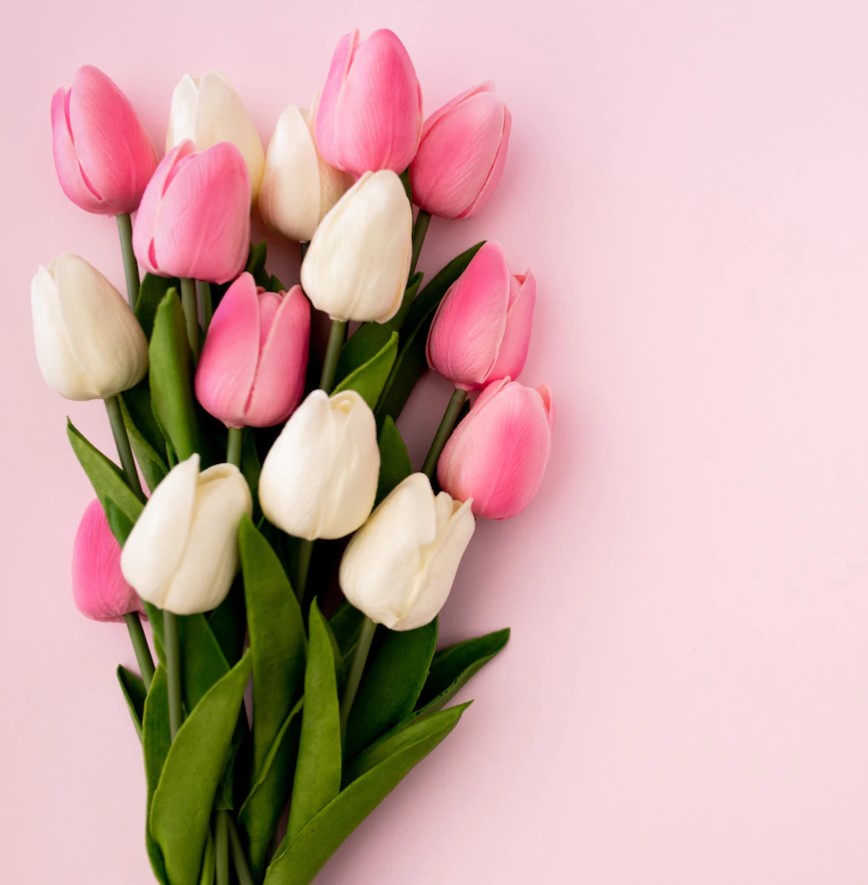 MOTHER’S DAY GIFT INSPIRATION