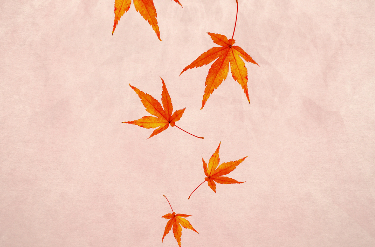 AUTUMN BEAUTY EDIT: THE MUST-HAVE PRODUCTS TO TRANSITION YOUR ROUTINE